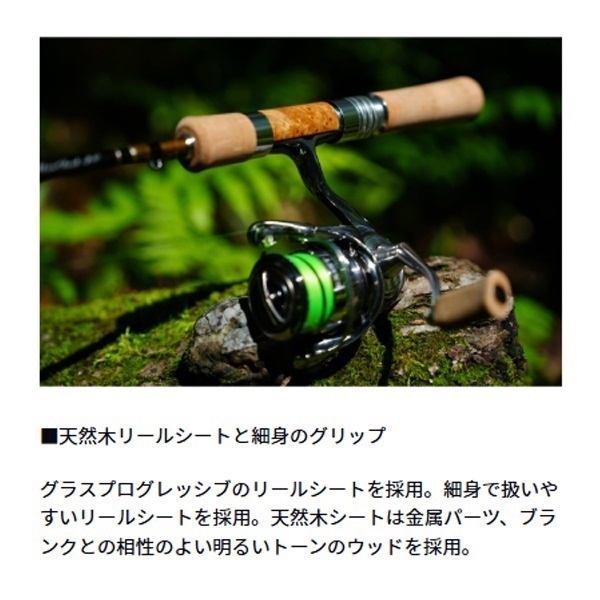 26 Silver Creek Trad